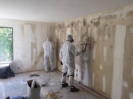 Best Asbestos and Lead Testing During Mold Inspection  in Bloomfield, IN